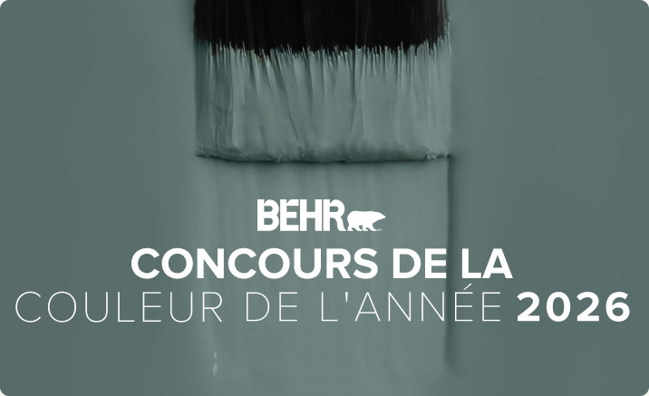 2026 Colour of the year contest
