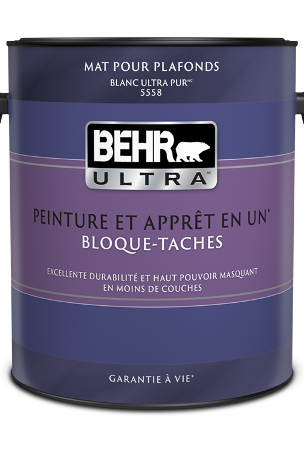 One 3.79 L can of Behr Ultra ceiling paint