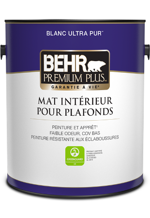 Peinture intérieure pour plafond