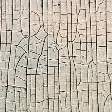 Close up image of patterned cracking in the surface of the paint film resembling the scales of an alligator.