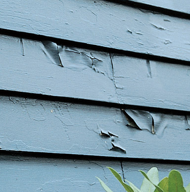 Close up image of an exterior wall where the pain film has loosen, and you see cracks and roll at exposed edges.