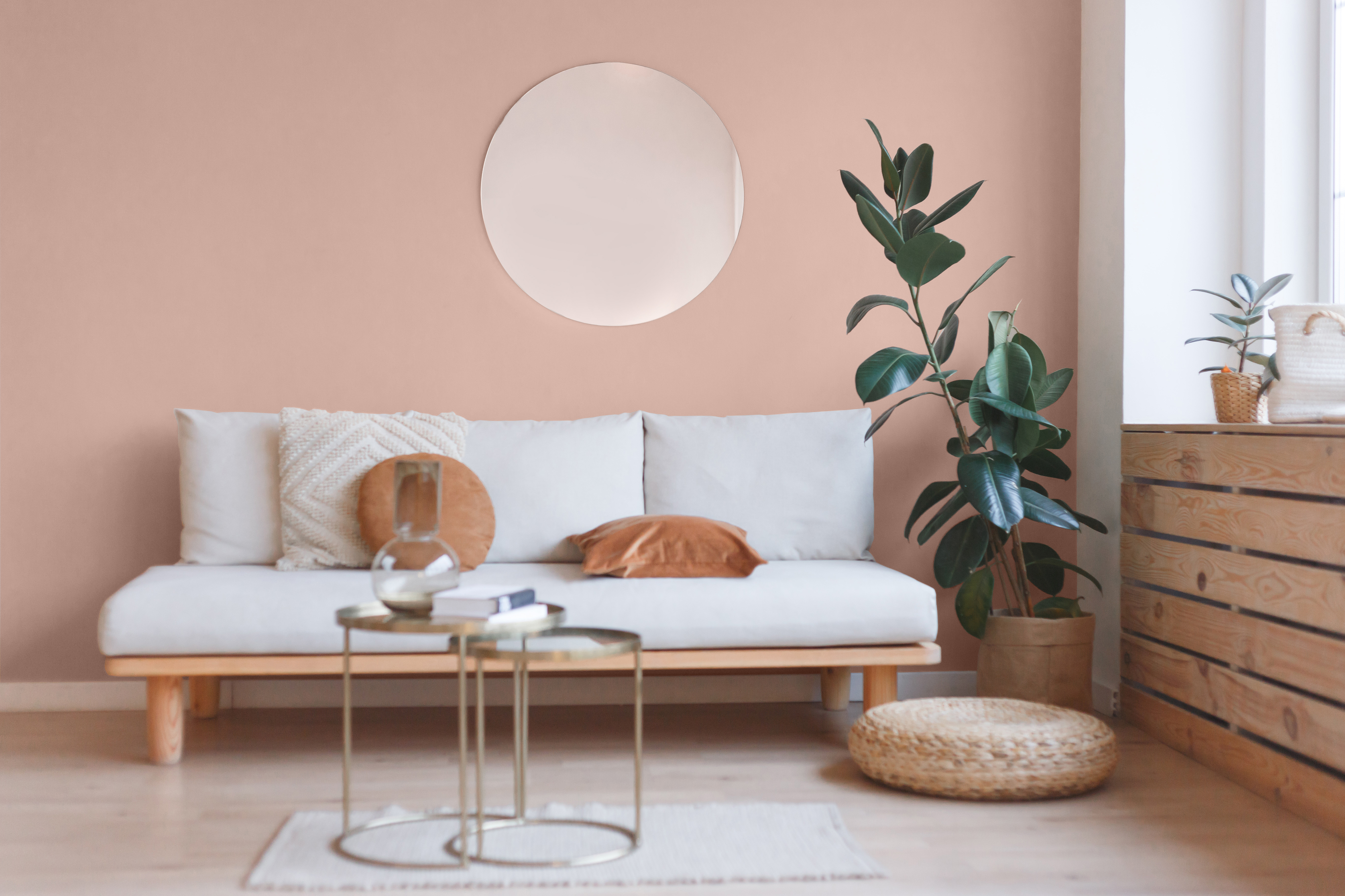 Un intérieur de salon avec sofa, miroir et ficus. La couleur présentée sur les murs est un rose chaud et clair appelé Brique lavée au soleil.