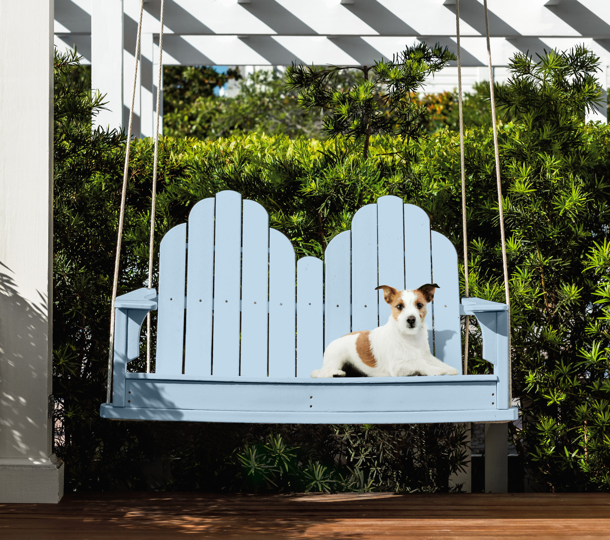 Un coin patio avec une balançoire bleue en bois. Un petit chien blanc et marron est allongé sur la balançoire. L'espace extérieur comprend un jardin vert printanier.