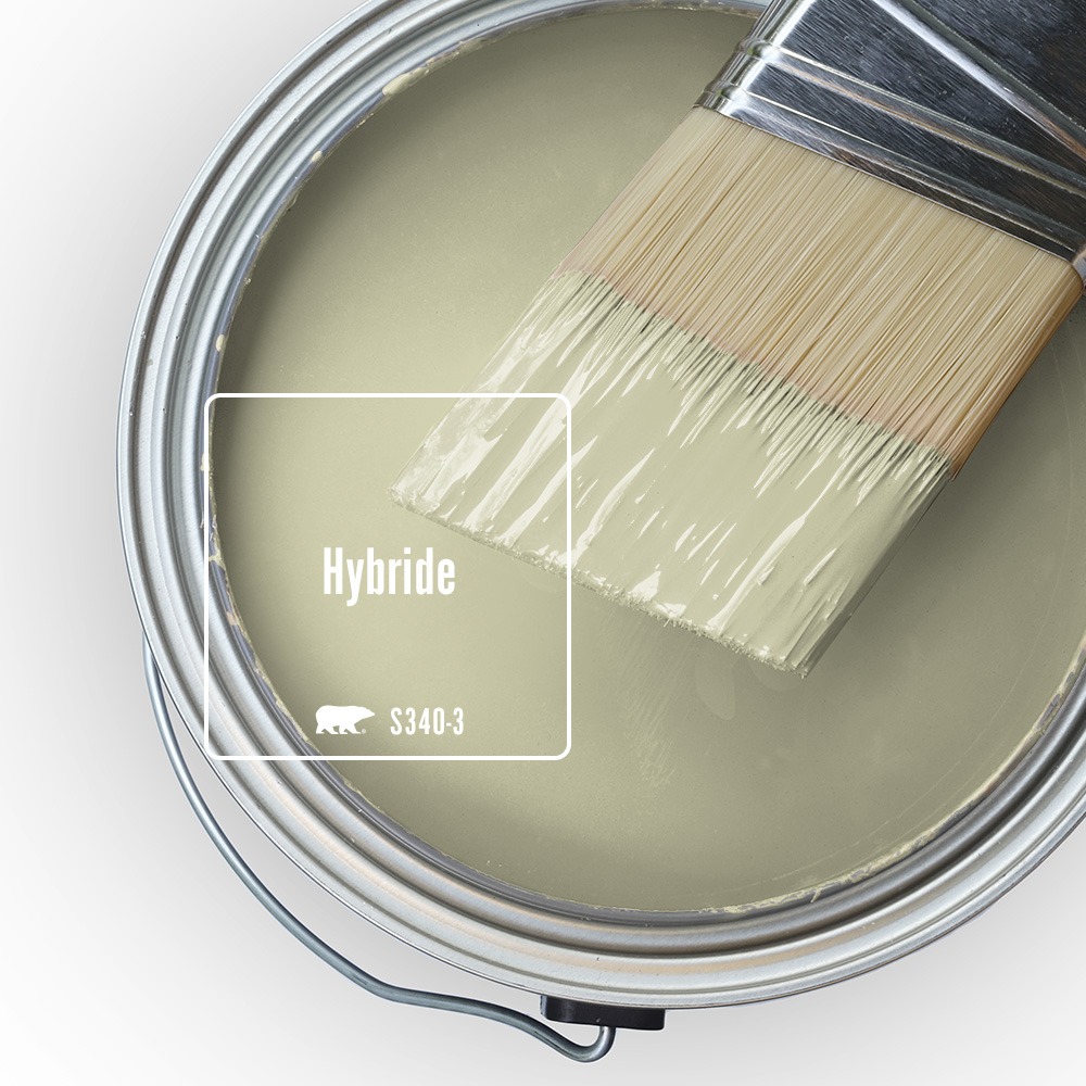 Vue du dessus d'un pot de peinture ouvert présentant la couleur Hybride