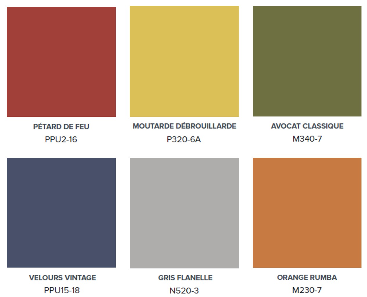 Une palette présentant six couleurs – Pétard de feu, Moutarde débrouillarde, Avocat classique, Velours vintage, Gris flanelle et Orange rumba