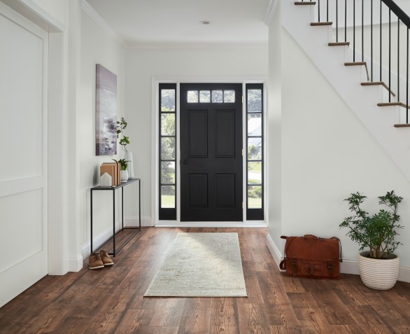 Une grande entrée de maison avec une porte d'entrée noire dotée de panneaux vitrés et de fenêtres latérales. Les murs sont peinturés en blanc.  À droite, un escalier aux marches en bois foncé et une rampe en métal noir. La lumière naturelle inonde l'espace, renforçant son ambiance accueillante, et des plantes en pot ajoutent une touche de verdure.