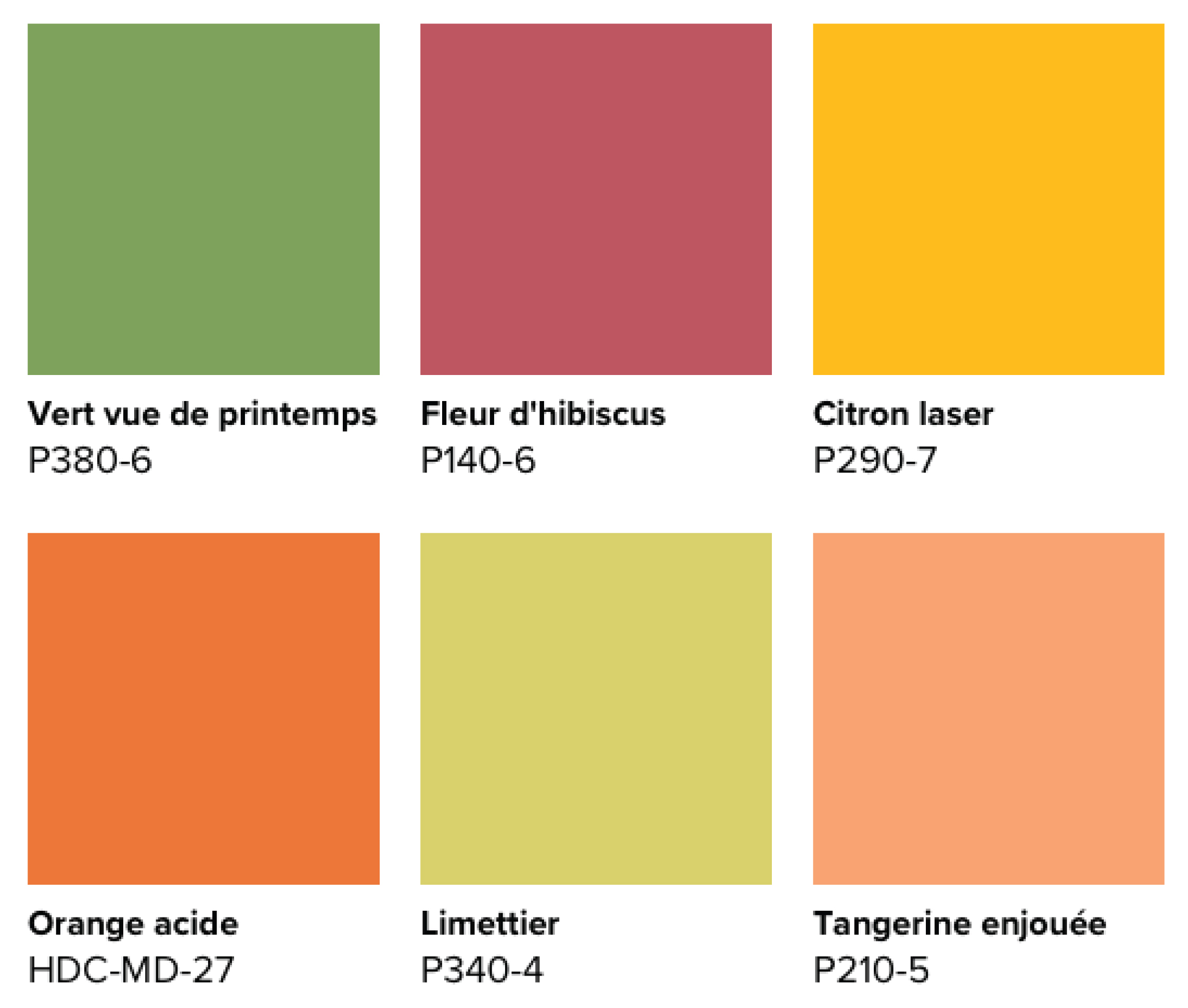 Cette image montre une palette de couleurs vives et audacieuses aux tons d’orange, de jaune, de rouge et de vert.