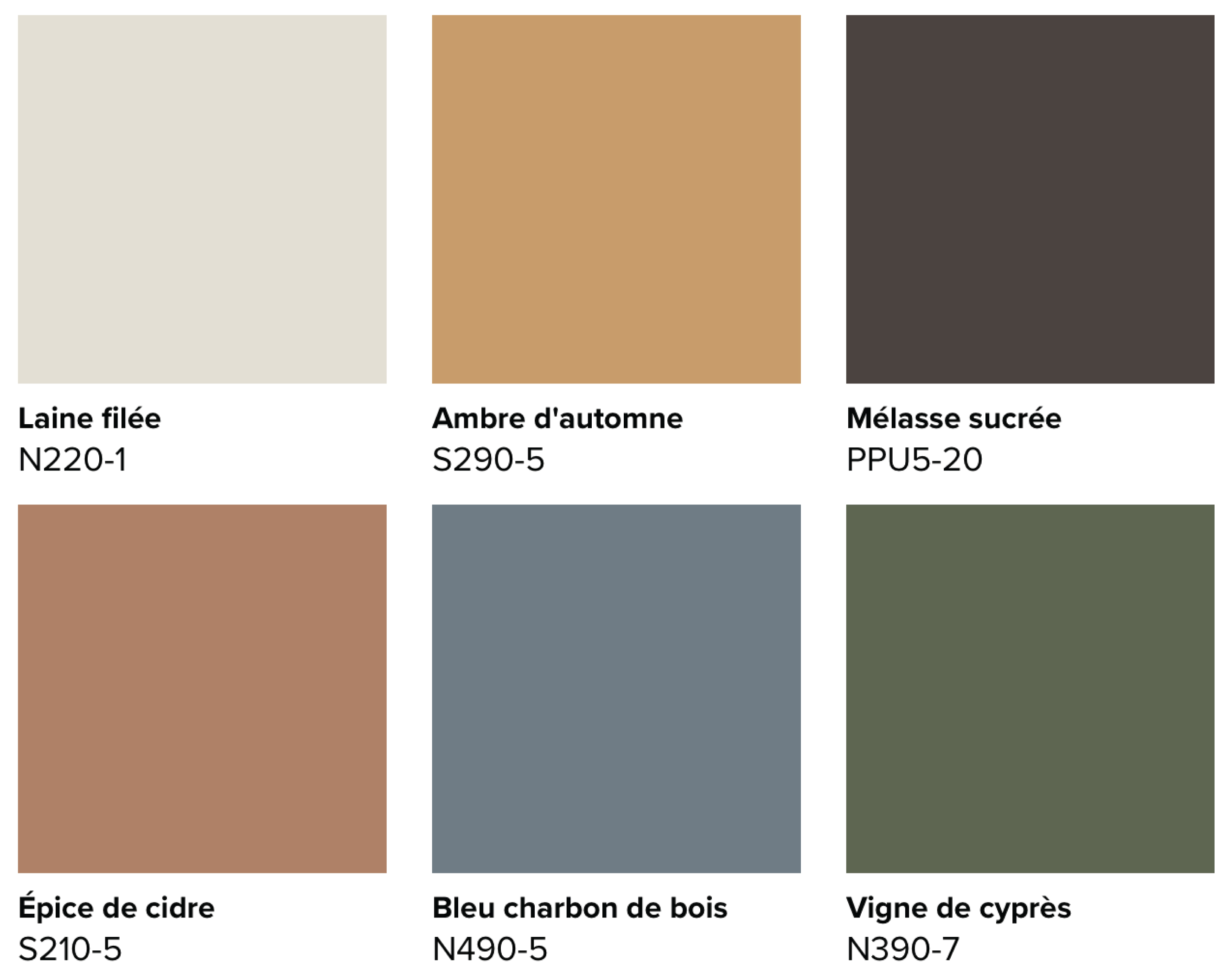 Cette image montre une palette de couleurs comprenant un taupe pâle, un jaune doré, un brun riche, un caramel orangé, un bleu-gris et un vert profond.