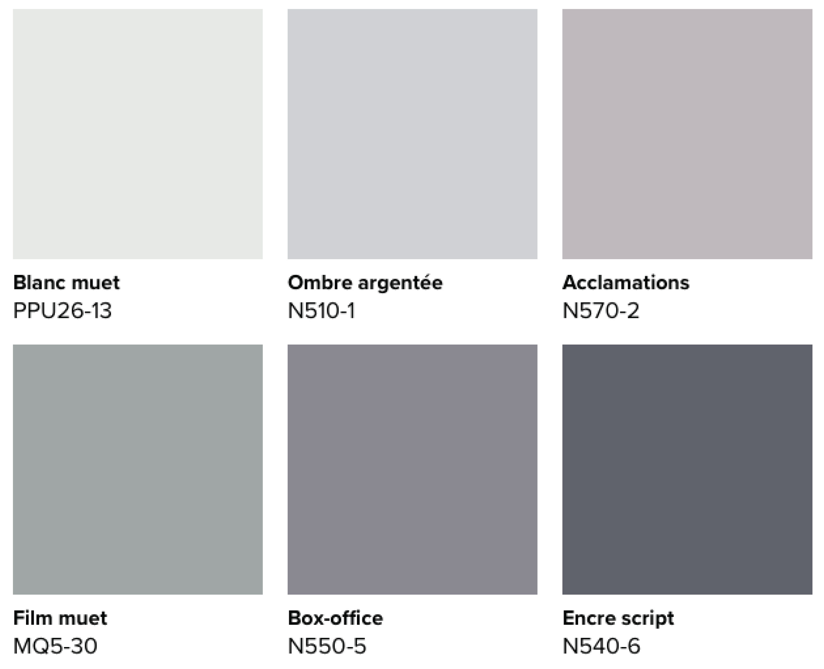 Cette image montre une palette de tons gris, gris-vert et gris-violet.