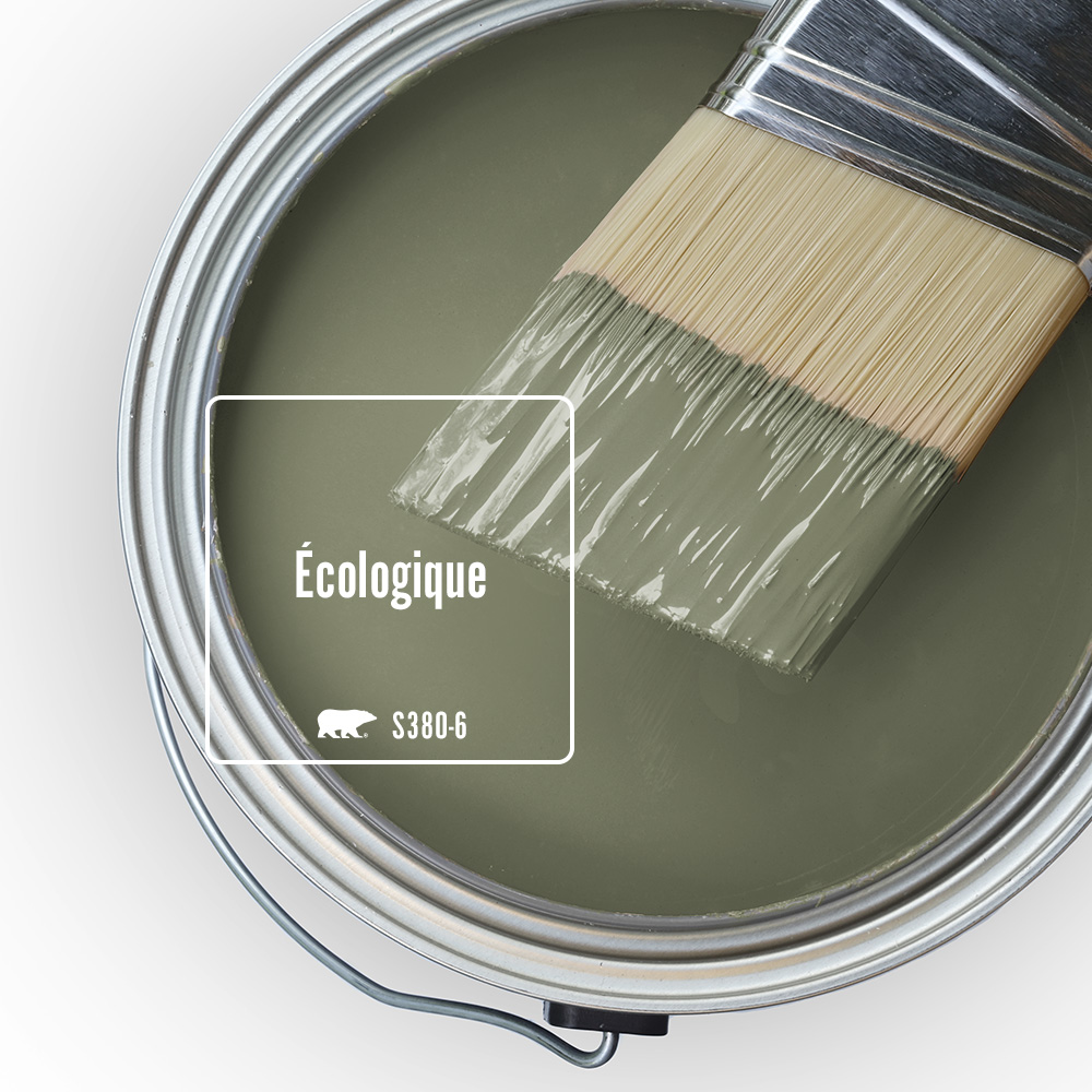 Cette image montre le dessus d’un pot de peinture ouvert rempli d’une peinture vert olive appelée Écologique. Un pinceau à moitié trempé dans la même couleur est posé sur le bord du pot.