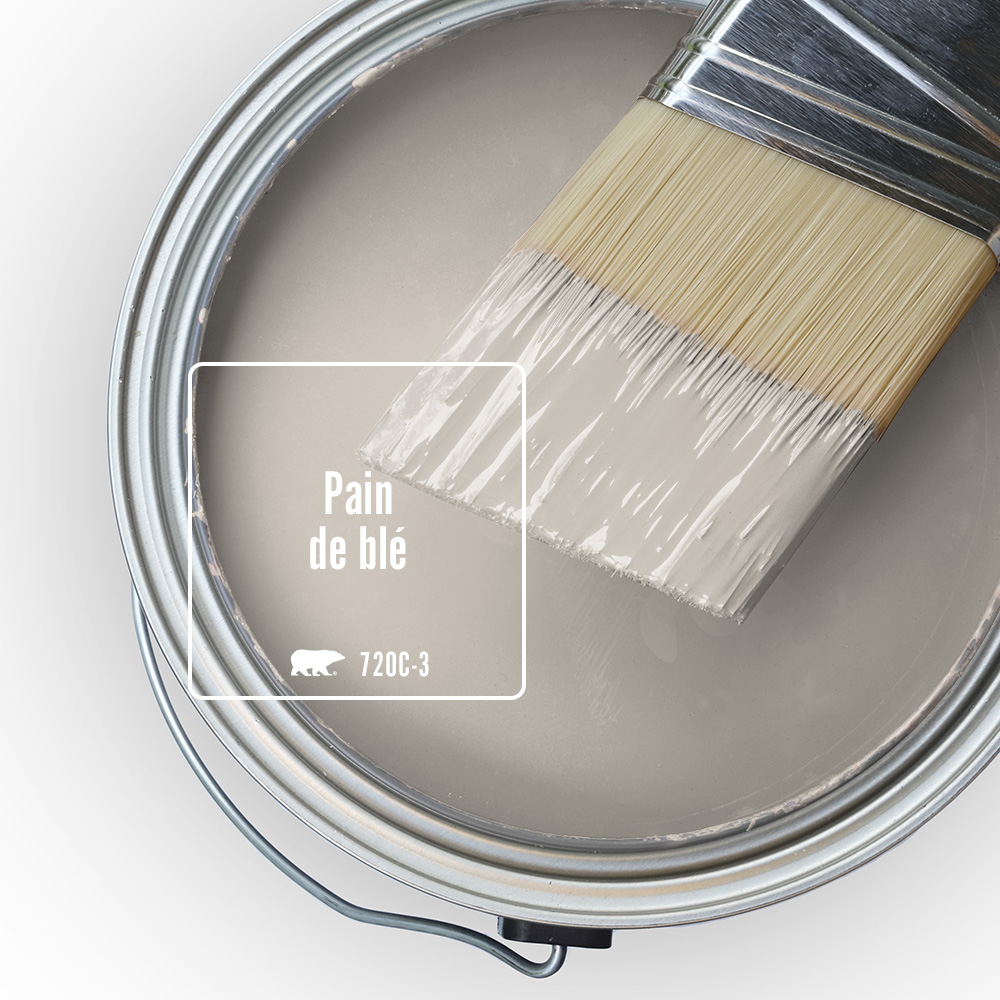 Cette image montre le dessus d’un pot de peinture ouvert rempli d’une peinture de couleur Pain de blé (720C-3), une douce nuance de gris taupe. Un pinceau à moitié trempé dans la même couleur est posé sur le bord du pot.