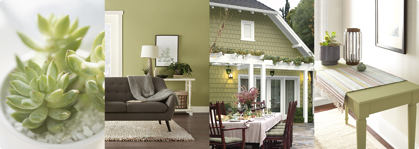 Behr - Color Trends 2020 - Color of the Year